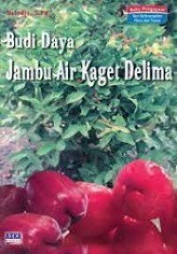 Image of Budidaya Jambu Air Kaget Delima