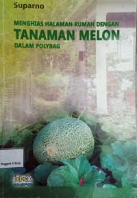 Image of Menghias Halaman Rumah dengan Tanaman Melon dalam Polybag
