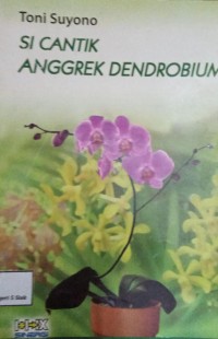 Image of Si Cantik Anggrek Dendrobium
