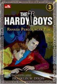 Image of The Hardy Boys #3